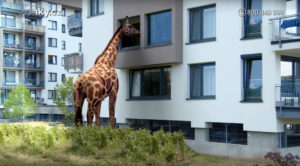 Zonky Žirafa 3D